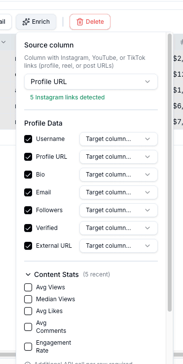Enrichment panel with profile data fields selected for mapping